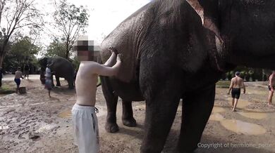 Hermione Potter, Thailand Phuket VLOG POV Sextape Onlyfans Video Leaked