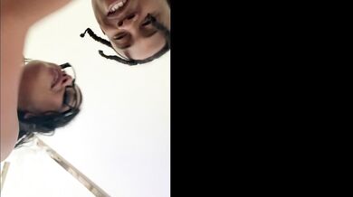 Lid D × Curly rican