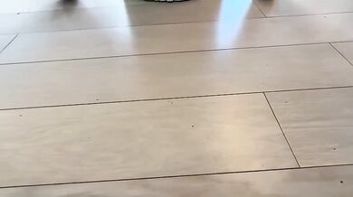 Esperanza Gomez, Dredd, Latina Thicc Slut Gets Anal Stretched By BBC Black Stud Onlyfans Video Leaked